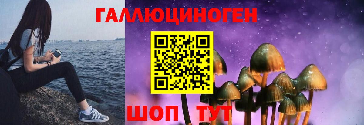 Галлюциногенные грибы ЛСД Похвистнево